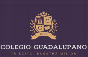 colegioguadalupano.gnomio.com